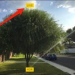 ximg 560f064f656e9.jpg.pagespeed.gpjpjwpjjsrjrprwricpmd.ic .X3b3cxzD V