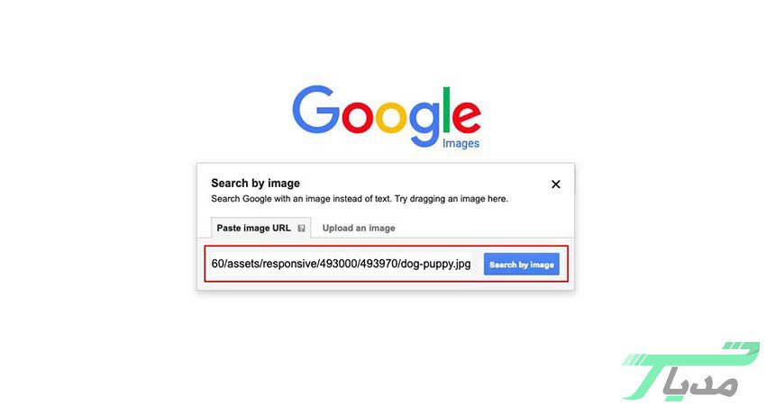 چگونه در گوگل عکس سرچ کنیم؟ - روش سرچ عکس در گوگل 16 گوگل