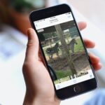 پخش خودکار ویدیو