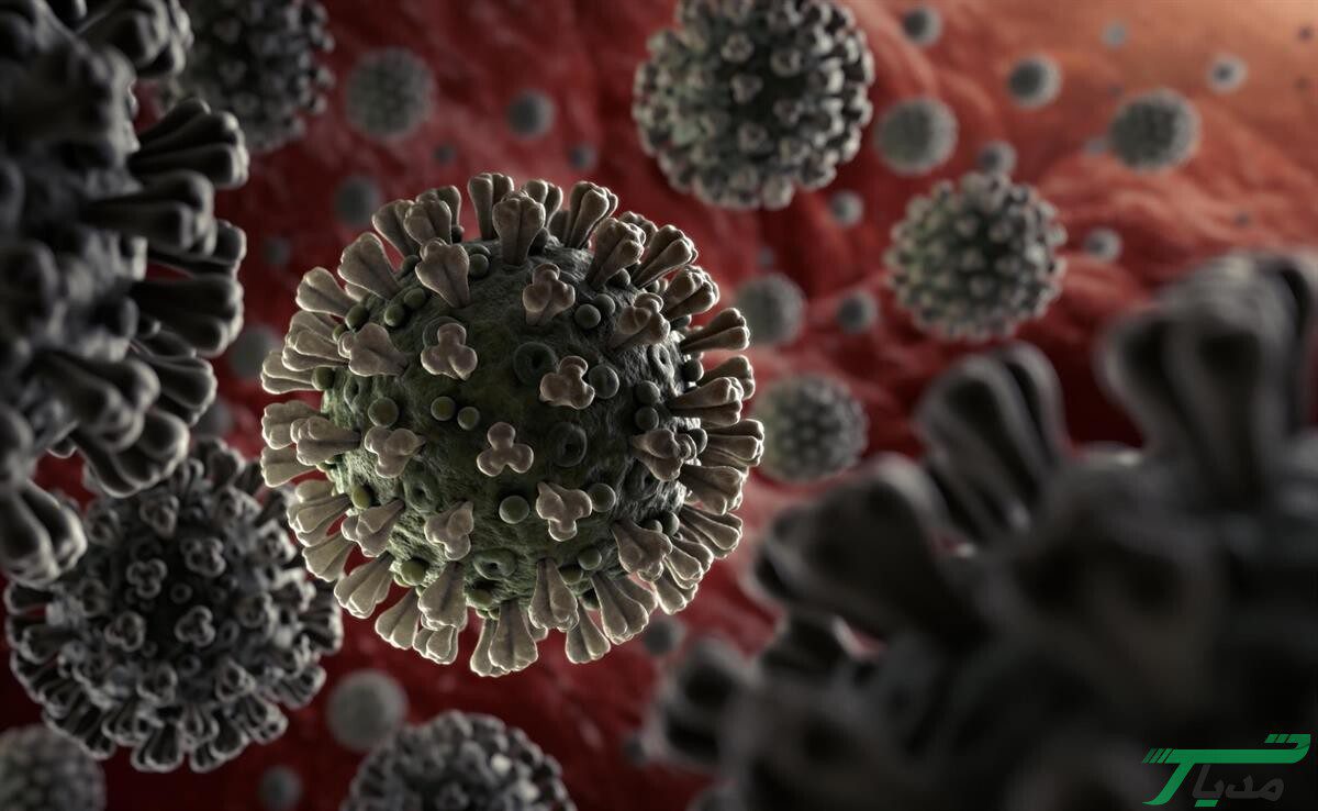 ویروس کرونا