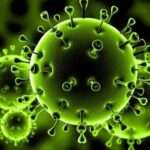 ویروس کرونا