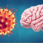 ویروس کرونا