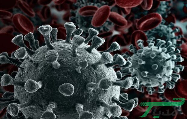 ویروس کرونا