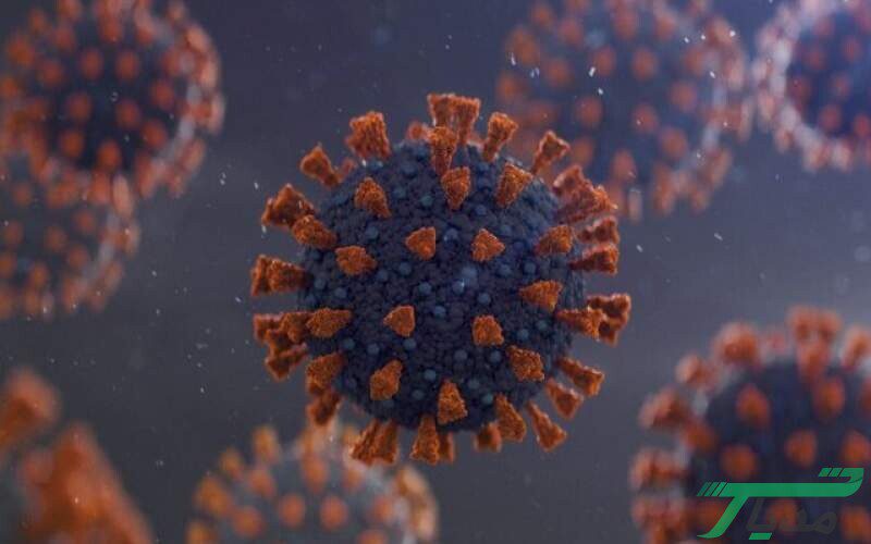 ویروس کرونا