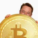 ترفند سرمایه گذاری حرفه ای در ارزهای دیجیتال | چطور بیشترین سود را کسب کنیم؟