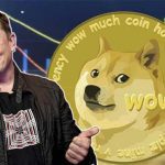 افت ارزش دوج کوین با وجود حمایت دوباره ایلان ماسک