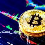 معرفی کامل برند ویکو