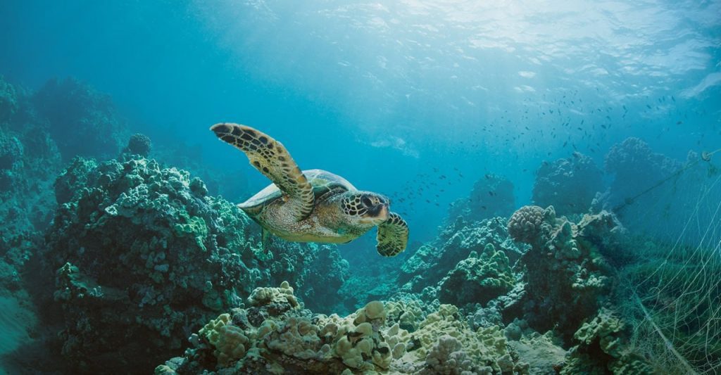 گلکسی‌های سامسونگ و خلق آینده‌ای پایدارتر