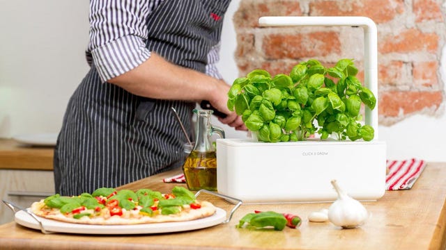 13 گزینه مناسب برای هدیه دادن 15 باغچههای گیاهی سرپوشیده