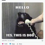 ایلان ماسک از قابلیت تماس صوتی و تصویری در X رونمایی کرد