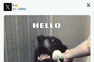 ایلان ماسک از قابلیت تماس صوتی و تصویری در X رونمایی کرد