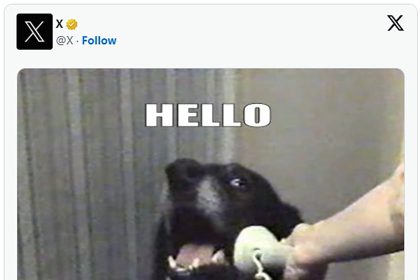 ایلان ماسک از قابلیت تماس صوتی و تصویری در X رونمایی کرد 13 ایلان ماسک از قابلیت تماس صوتی و تصویری در X رونمایی کرد