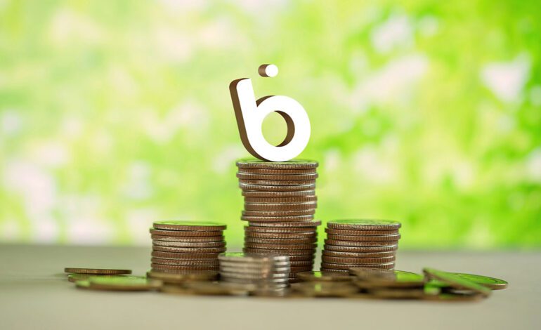 همه چیز درباره وام سازمانی بلو