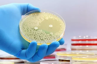 کشف اولین آنتی بیوتیک با هوش مصنوعی!