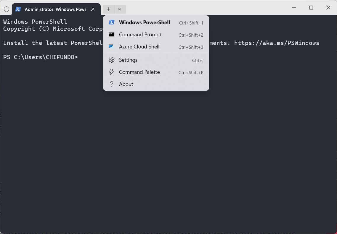 Windows Terminal در مقابل PowerShell: چه چیزی آنها را متفاوت میکند؟ 15 Windows Terminal
