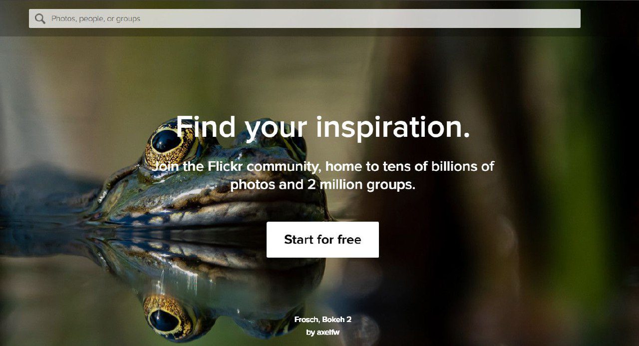 10 اپلیکیشن و سایت برتر رسانههای اجتماعی در سال 2023 - بخش دوم 16 13. Flickr