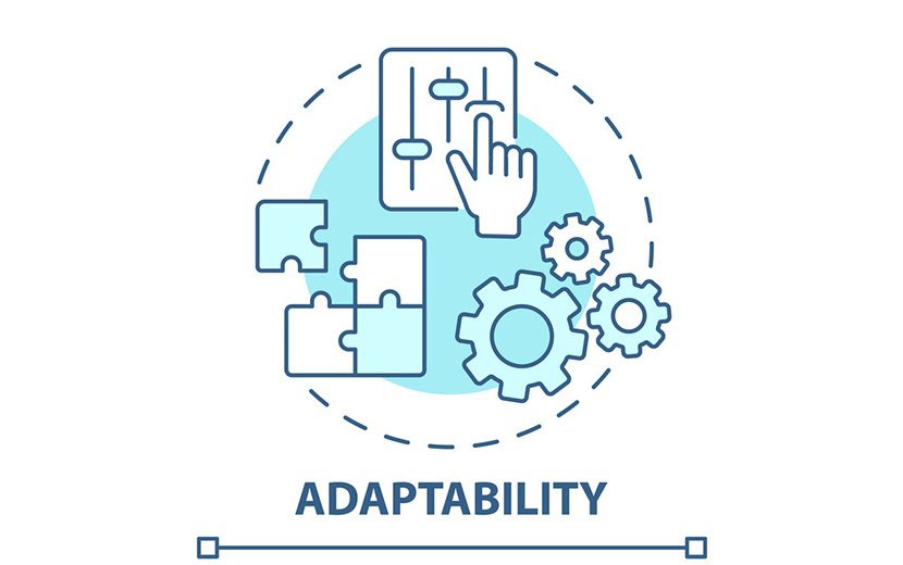 7 مهارت برای ارتقای کسب و کار در سال 2024 19 6. تطبیقپذیری