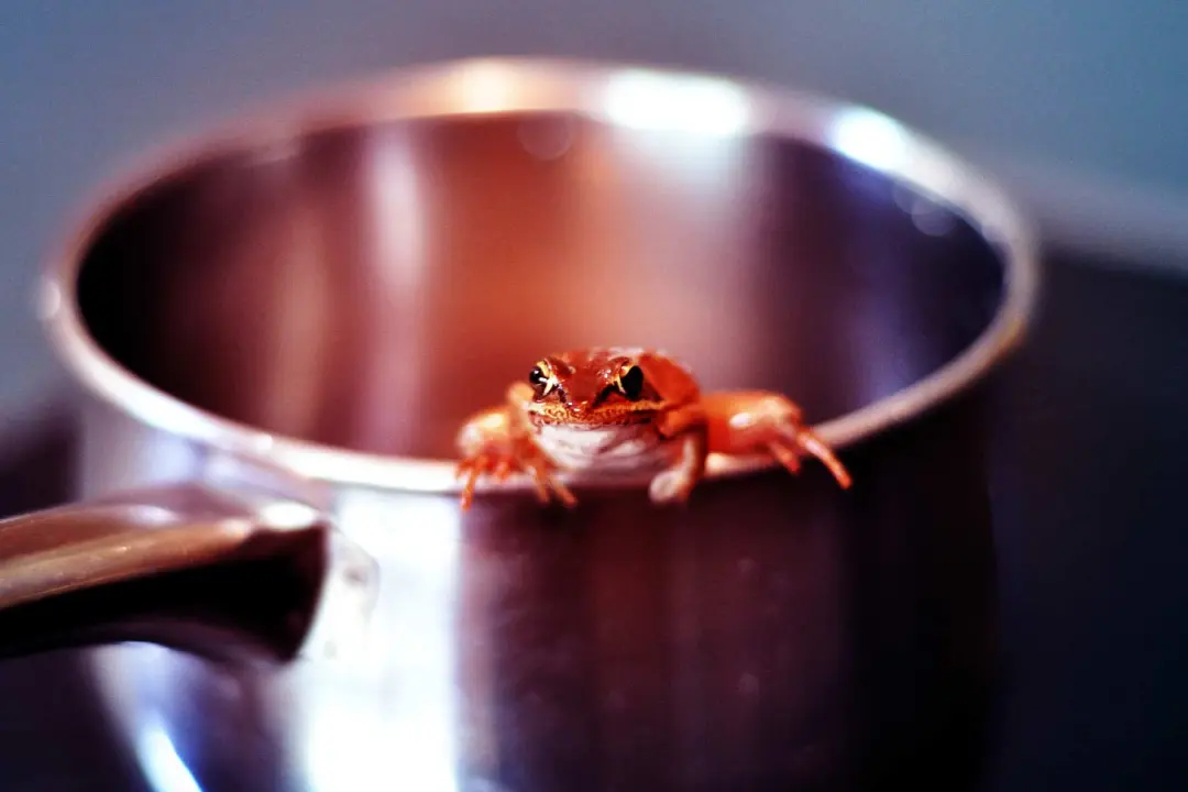 آیا سندرم قورباغه آب پز واقعی است؟ 15 سندرم قورباغه آبپز