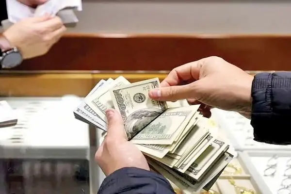 رشد دلار و موج جدید خریداران 14 رشد دلار، موج جدید خریداران را وارد بازار کرد.