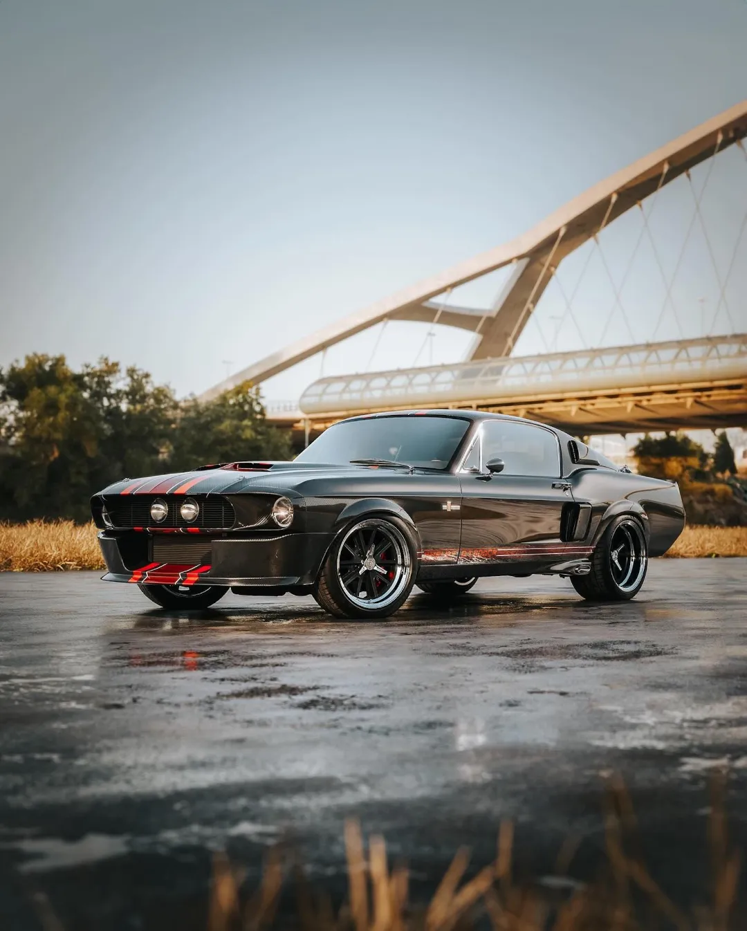 خودرو 34 میلیاردی موستانگ! موستانگ شلبی GT500CR 16 خودرو 34 میلیاردی موستانگ!