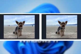 قابلیت حذف اشیاء و اشخاص تصویر در ویندوز 11 اضافه شد