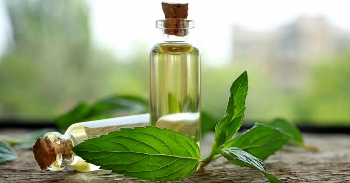 راههای از بین بردن بوی بد در تابستان، معرفی 7 روش از بین بردن بوی بد بدن 14 راههای از بین بردن بوی بد در تابستان