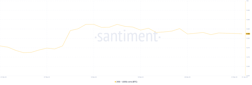 آیا امکان سقوط قیمت بیت کوین به زیر 60 هزار دلار وجود دارد؟ 14 آیا قیمت بیت کوین به زیر 60 هزار دلار ریزش میکند؟
