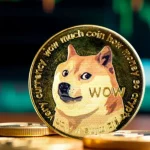 آیا دوج کوین پامپ خواهد زد؟