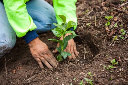 با net zero پروژه جدید نستله بیشتر آشنا بشید 13 با net zero پروژه جدید نستله بیشتر آشنا بشید