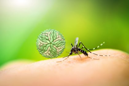 تب دنگی چیست؟ پیشگیری، درمان، کنترل و علایم بیماری تب Dengue