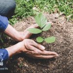 چگونه نستله گام خود را فراتر از مسئولیت‌های اجتماعی می‌گذارد؟ سیر تحول نستله از مسئولیت اجتماعی به خلق ارزش برای جامعه
