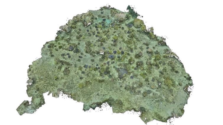 پروژههای نوآورانه سامسونگ برای احیای صخرههای مرجانی با استفاده از فناوری 16 پروژههای نوآورانه سامسونگ برای احیای صخرههای مرجانی با استفاده از فناوری