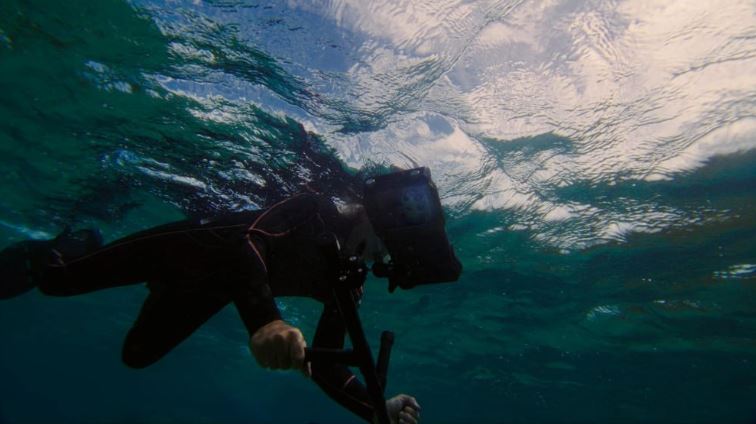 پروژههای نوآورانه سامسونگ برای احیای صخرههای مرجانی با استفاده از فناوری 14 پروژههای نوآورانه سامسونگ برای احیای صخرههای مرجانی با استفاده از فناوری