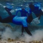 پروژه‌های نوآورانه سامسونگ برای احیای صخره‌های مرجانی با استفاده از فناوری