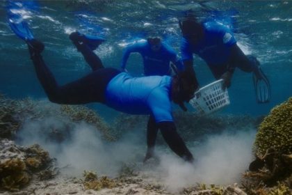 پروژههای نوآورانه سامسونگ برای احیای صخرههای مرجانی با استفاده از فناوری 13 پروژههای نوآورانه سامسونگ برای احیای صخرههای مرجانی با استفاده از فناوری