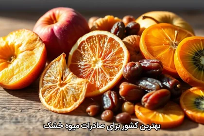 بهترین کشور برای صادرات میوه خشک 13 بهترین کشور برای صادرات میوه خشک