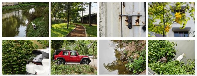 اولین نگاه به قدرت عکاسی OnePlus 13s: نمونههای واقعی از دوربین جدید 17 اولین نگاه به قدرت عکاسی OnePlus 13s: نمونههای واقعی از دوربین جدید