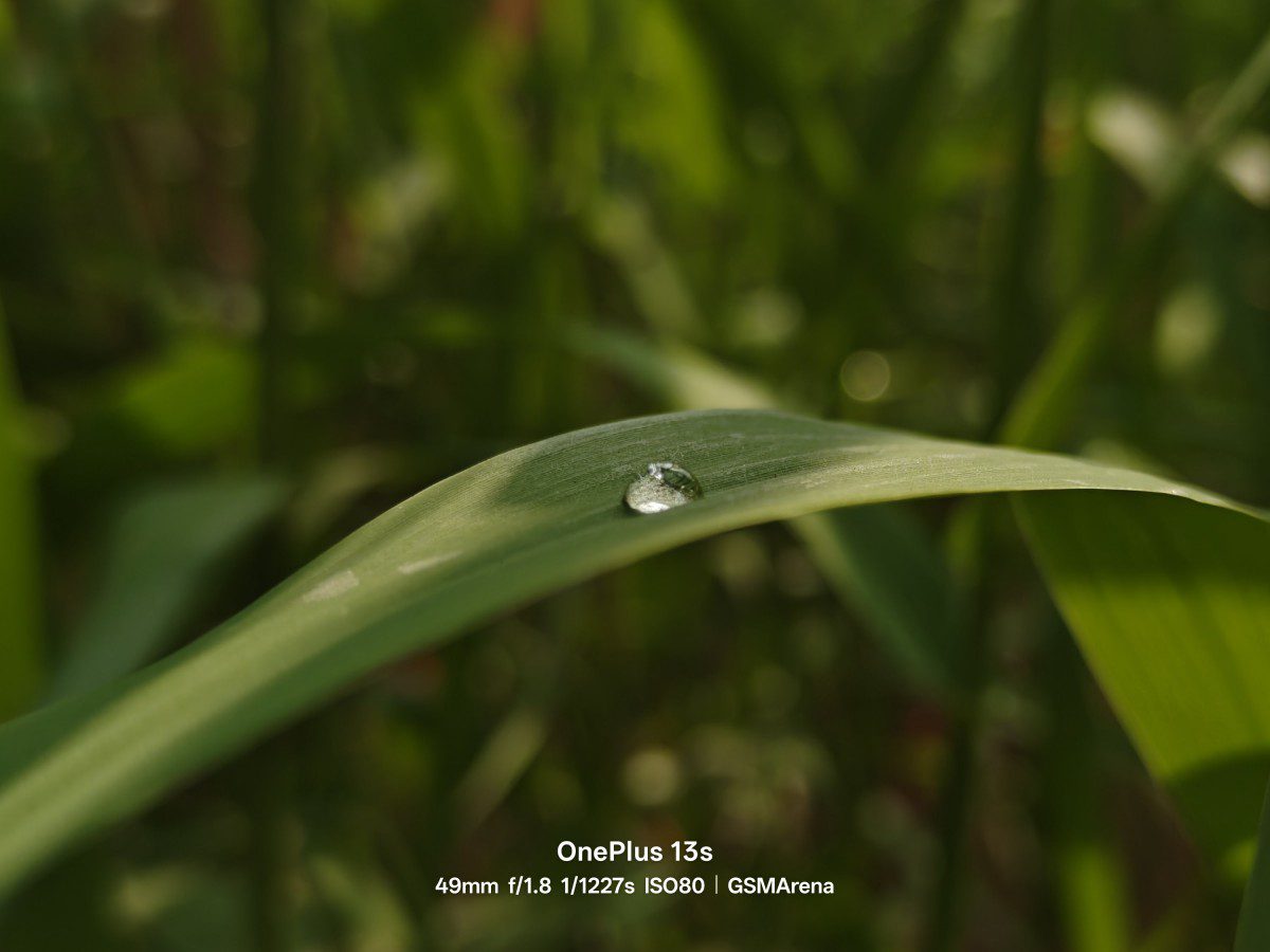 اولین نگاه به قدرت عکاسی OnePlus 13s: نمونههای واقعی از دوربین جدید 16 اولین نگاه به قدرت عکاسی OnePlus 13s: نمونههای واقعی از دوربین جدید