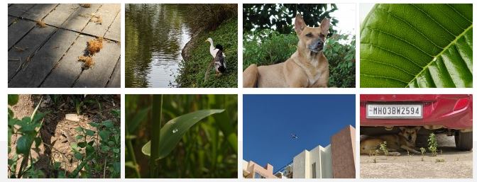 اولین نگاه به قدرت عکاسی OnePlus 13s: نمونههای واقعی از دوربین جدید 19 اولین نگاه به قدرت عکاسی OnePlus 13s: نمونههای واقعی از دوربین جدید