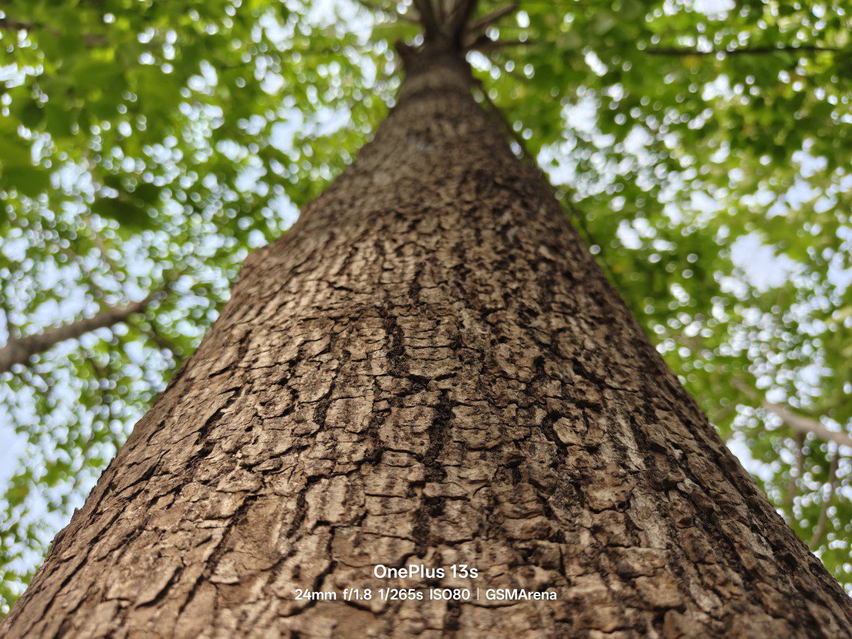 اولین نگاه به قدرت عکاسی OnePlus 13s: نمونههای واقعی از دوربین جدید 14 اولین نگاه به قدرت عکاسی OnePlus 13s: نمونههای واقعی از دوربین جدید