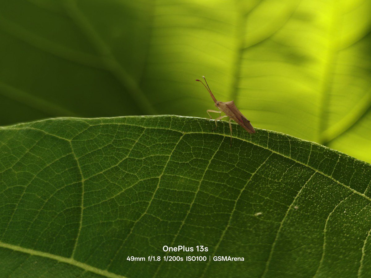 اولین نگاه به قدرت عکاسی OnePlus 13s: نمونههای واقعی از دوربین جدید 18 اولین نگاه به قدرت عکاسی OnePlus 13s: نمونههای واقعی از دوربین جدید