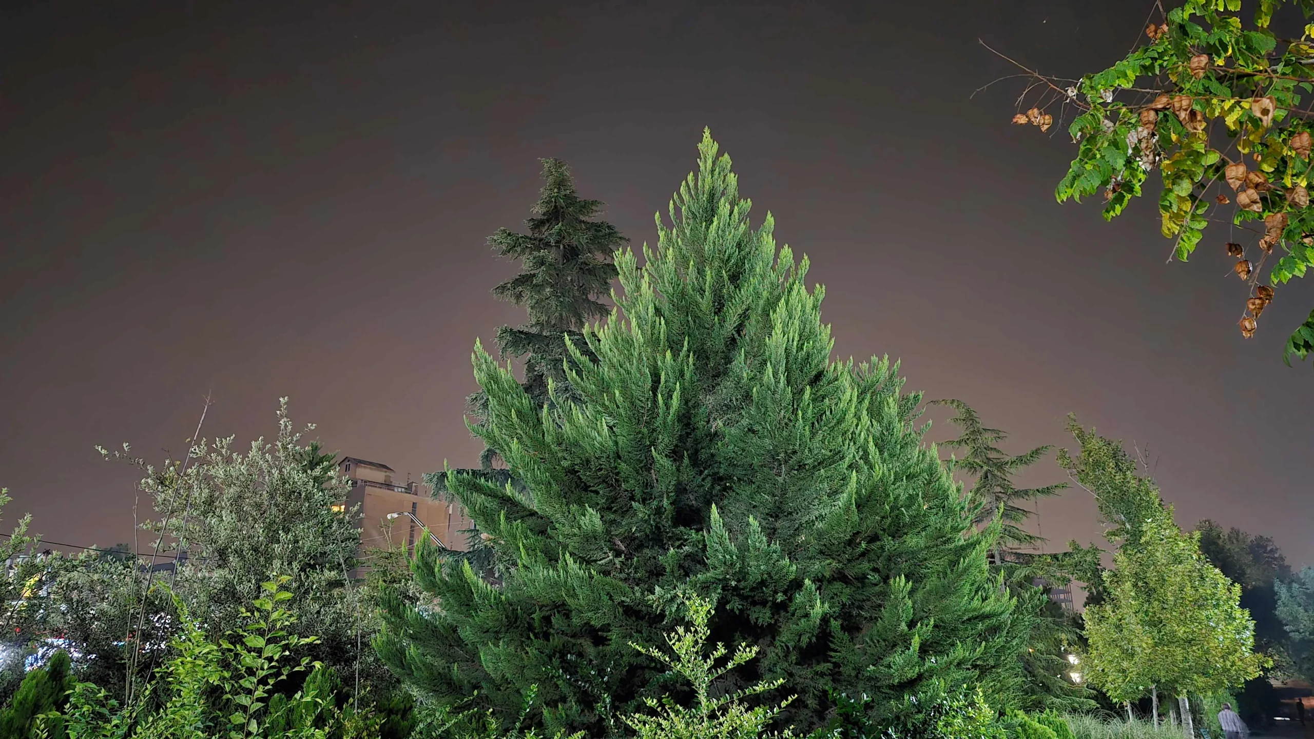 بررسی کامل سامسونگ گلکسی S24 FE 23 بررسی کامل سامسونگ گلکسی S24 FE