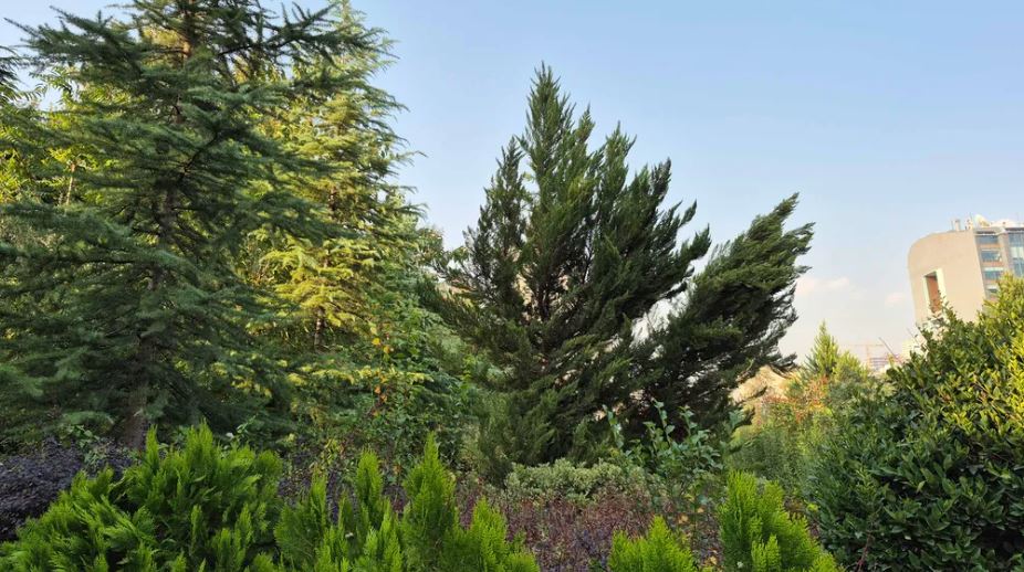 بررسی کامل سامسونگ گلکسی S24 FE 28 بررسی کامل سامسونگ گلکسی S24 FE