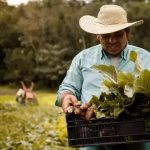 مسیر کیفیت: چگونه نستله استانداردهای خود را از مزرعه تا سفره ارتقا می‌دهد