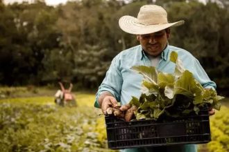 مسیر کیفیت: چگونه نستله استانداردهای خود را از مزرعه تا سفره ارتقا می‌دهد